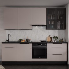 MARTA 260